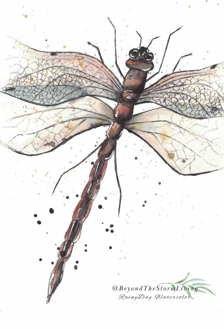 Watercolor Practice: Line and Wash