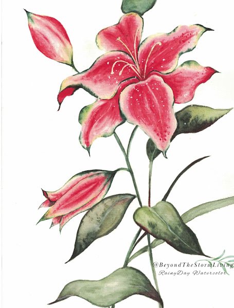 Alla prima botanical watercolor study of a lily 🌸 Painted with a limited palette
