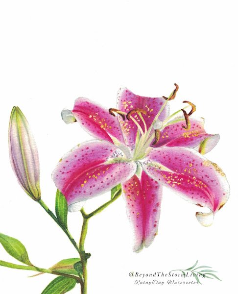 Vibrant Lily – Limited Palette of 3 Colors