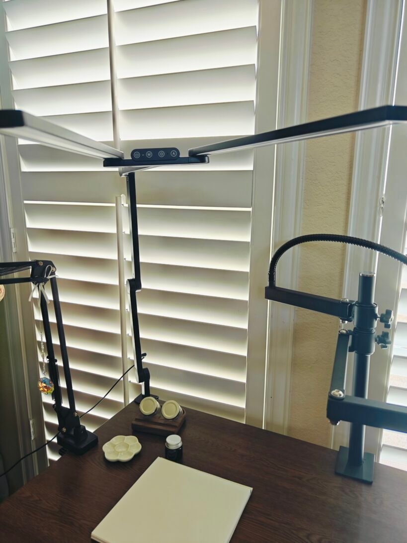 Adjustable LED Light